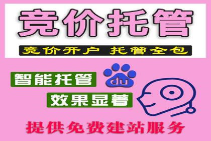 SEM外包助力品牌增长案例解析